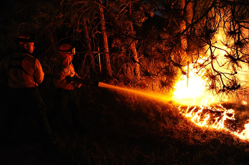 Dichiarazione stato di massima pericolosità incendi boschivi su tutto il territorio regionale.